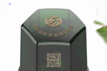 NEMA 4G單燈控制器