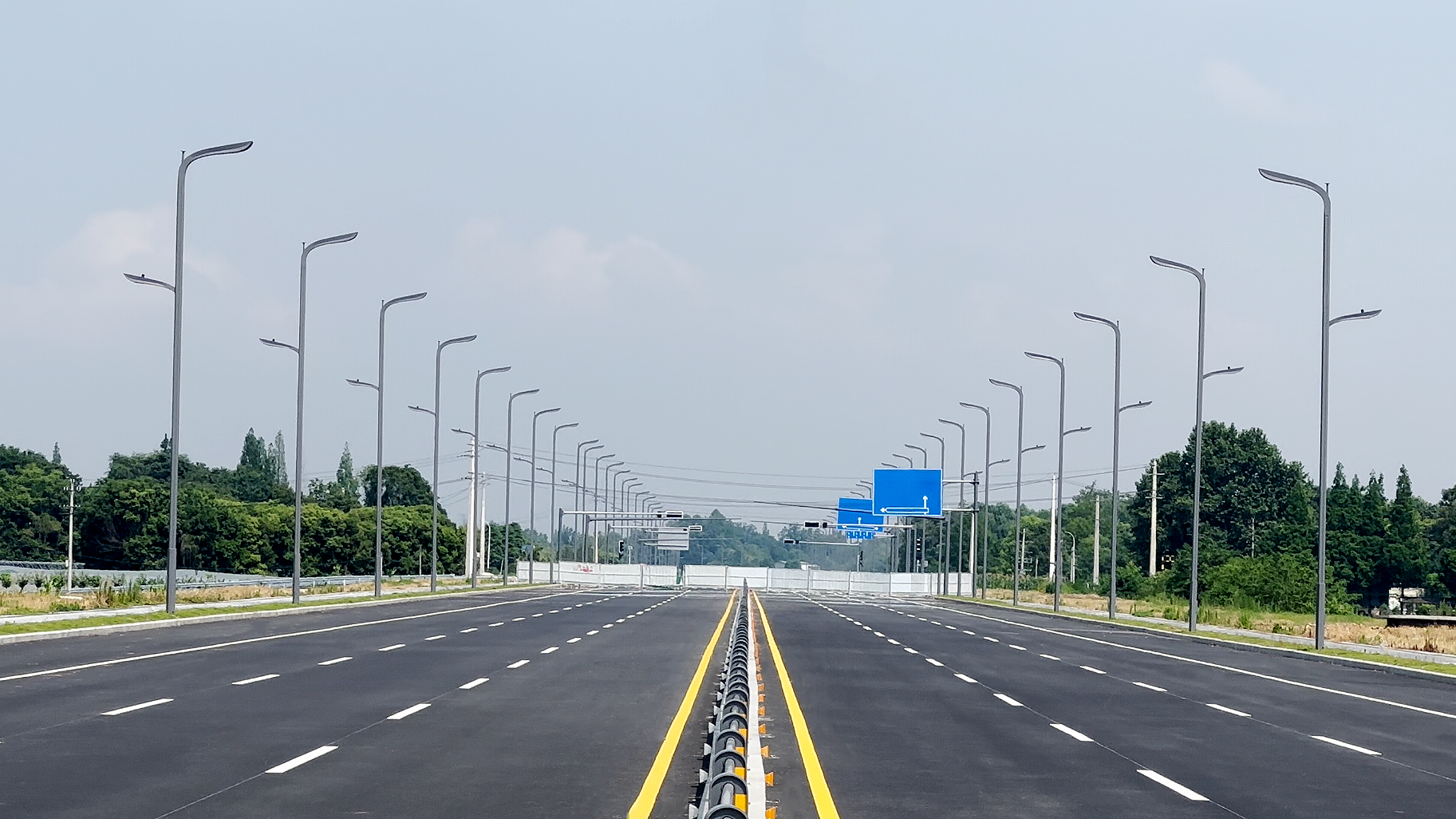 成都天保大道路燈項目